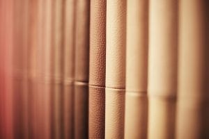 Verschillende ledersoorten