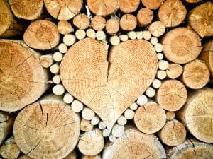 Hout beschermen | Houten boomstammen in vorm hart