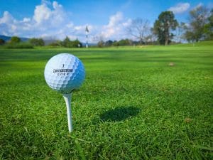 golf bal op het gras